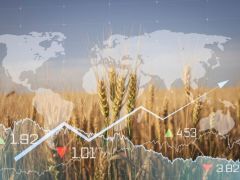 گزارش ماهیانه پایش و تحلیل قیمت مواد غذایی آوریل 2024