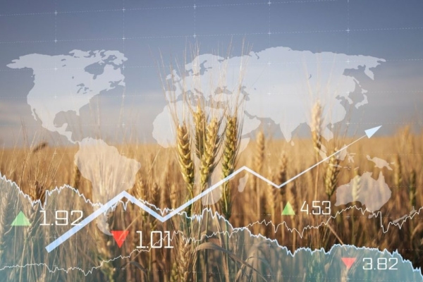 گزارش ماهیانه پایش و تحلیل قیمت مواد غذایی می 2025