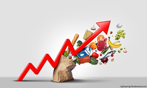 گزارش ماهیانه پایش و تحلیل قیمت مواد غذایی آوریل 2025