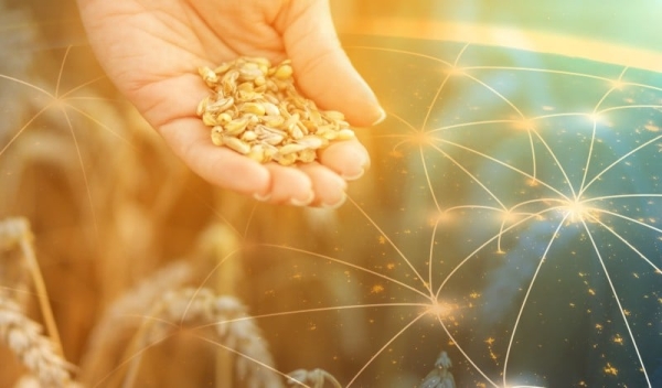 بازرگانی محصولات کشاورزی و صنایع غذایی در شش ماه نخست سال 1404