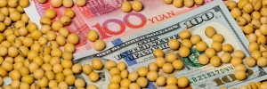 گزارش ماهیانه پایش و تحلیل قیمت مواد غذایی فوریه 2025