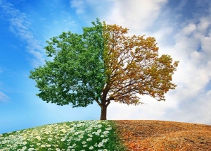 اخبار داخلی آب و کشاورزی؛ هفته سوم مرداد 94